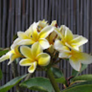 Meet your Posher, Vicki